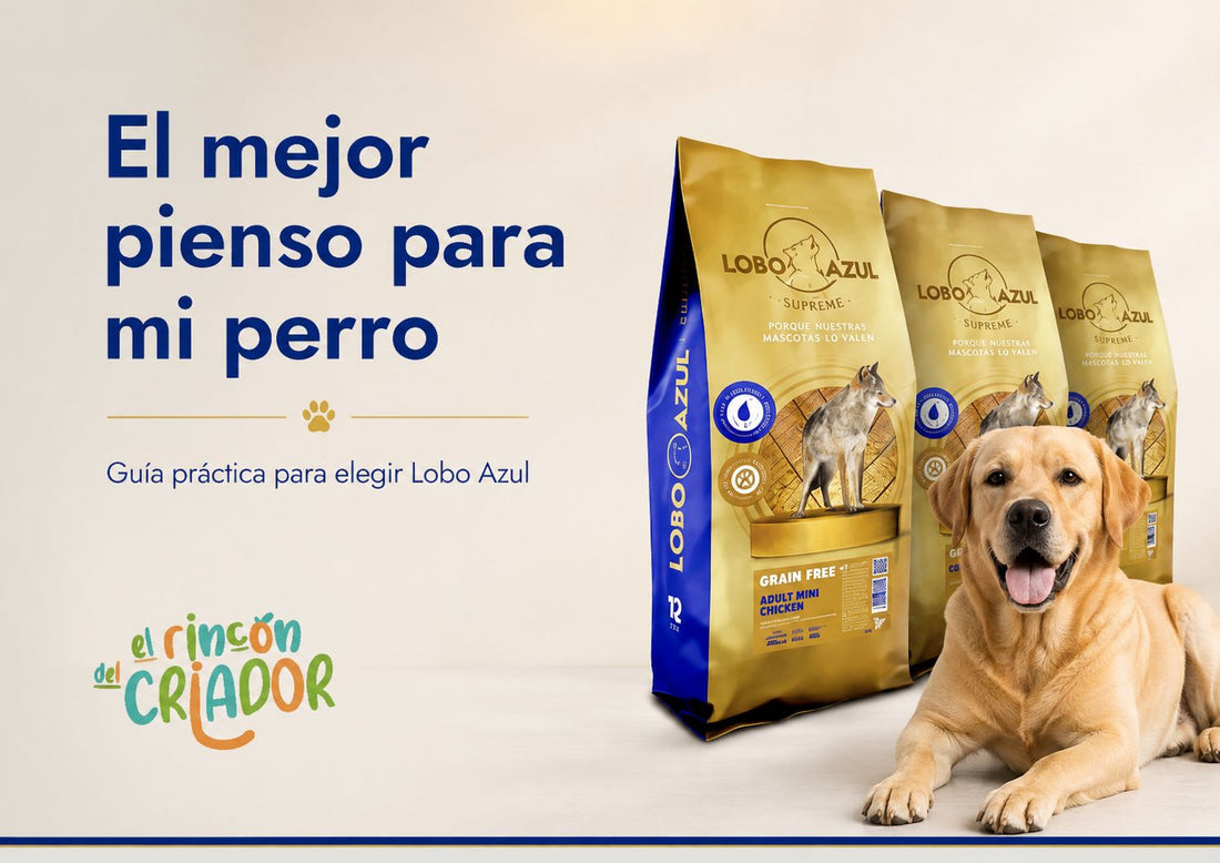 El mejor pienso para mi perro: Lobo Azul