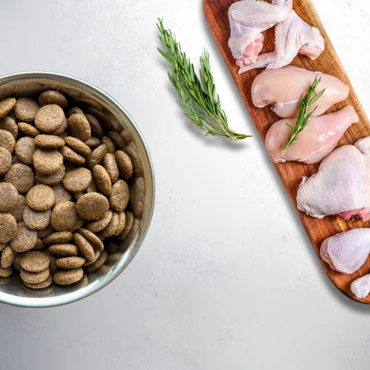 Grain Free Adult Chicken & Turkey