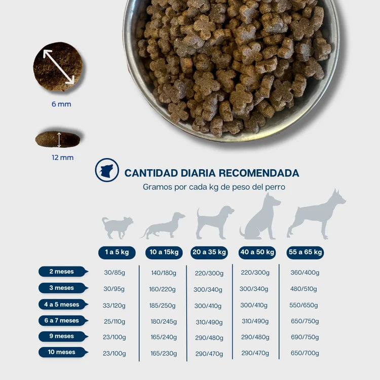Puppy 15 kg
