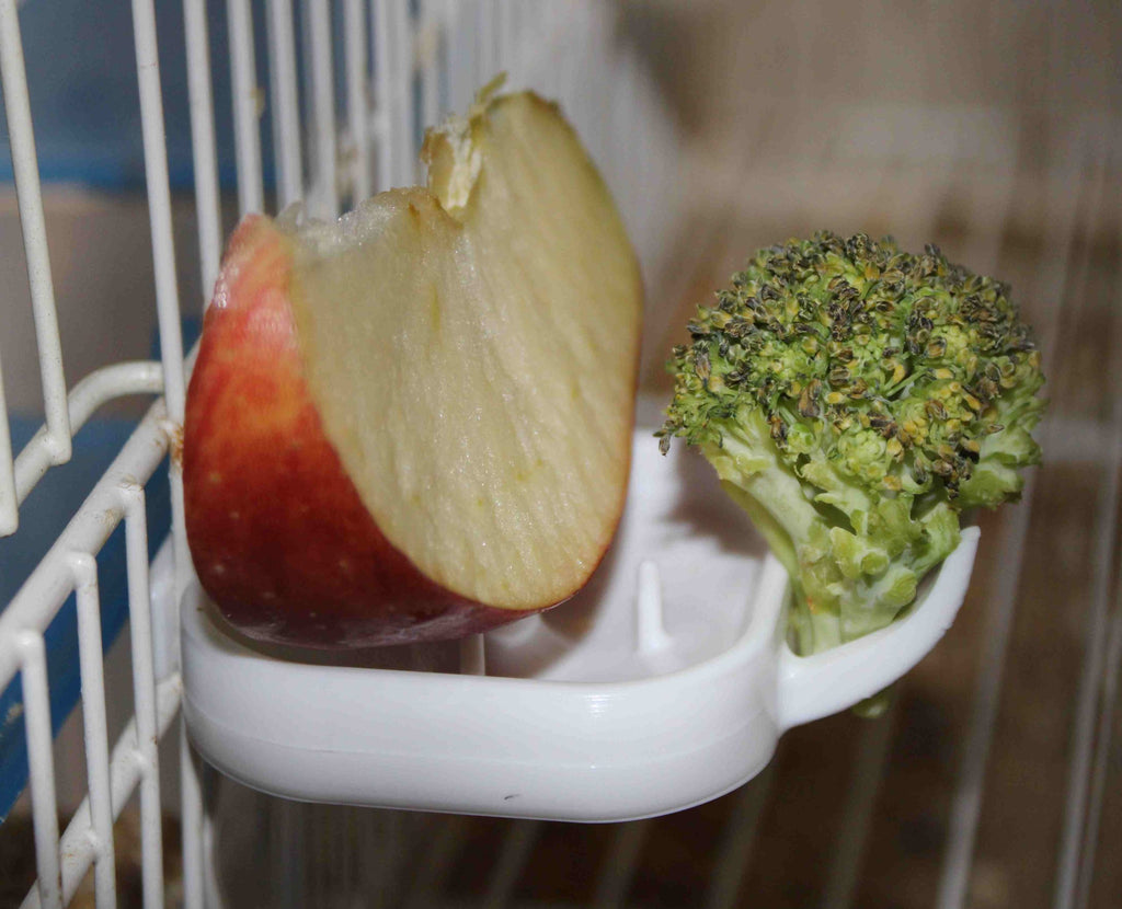 Frutero Floren Moldes Ave