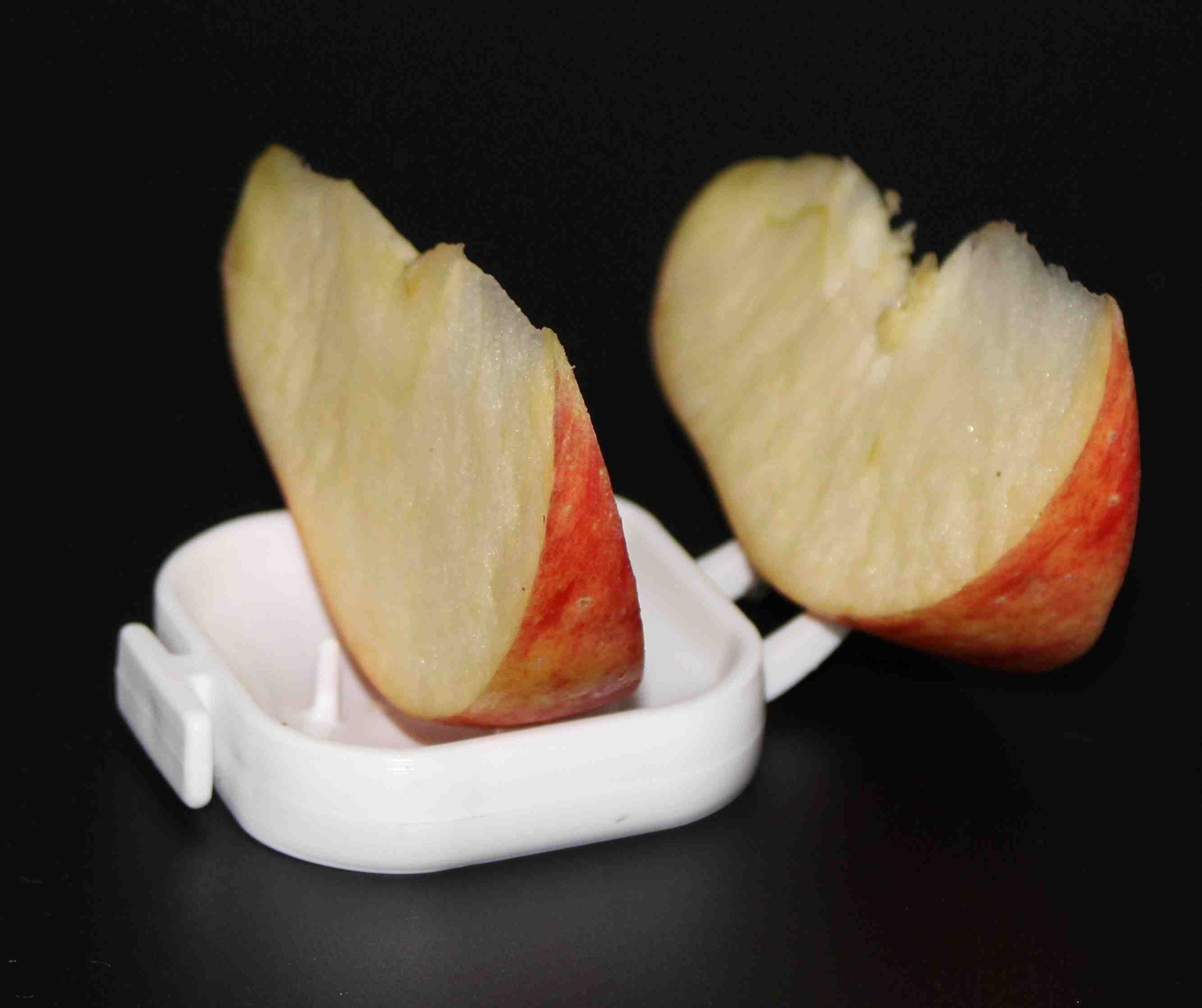 Frutero Floren Moldes Ave