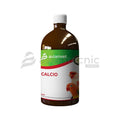 Calcio Líquido Avianvet 500 ml