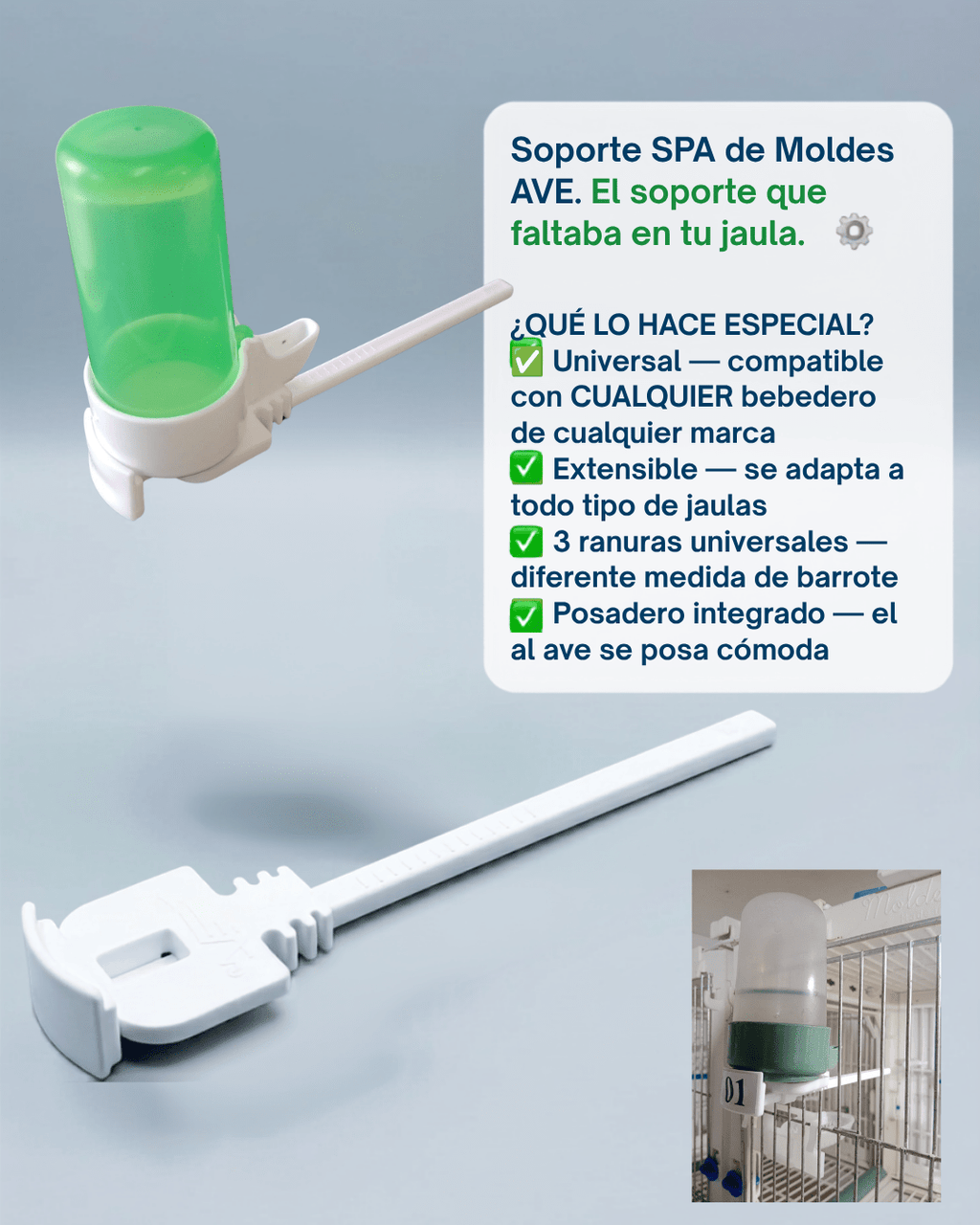 Soporte SPA Moldes Ave