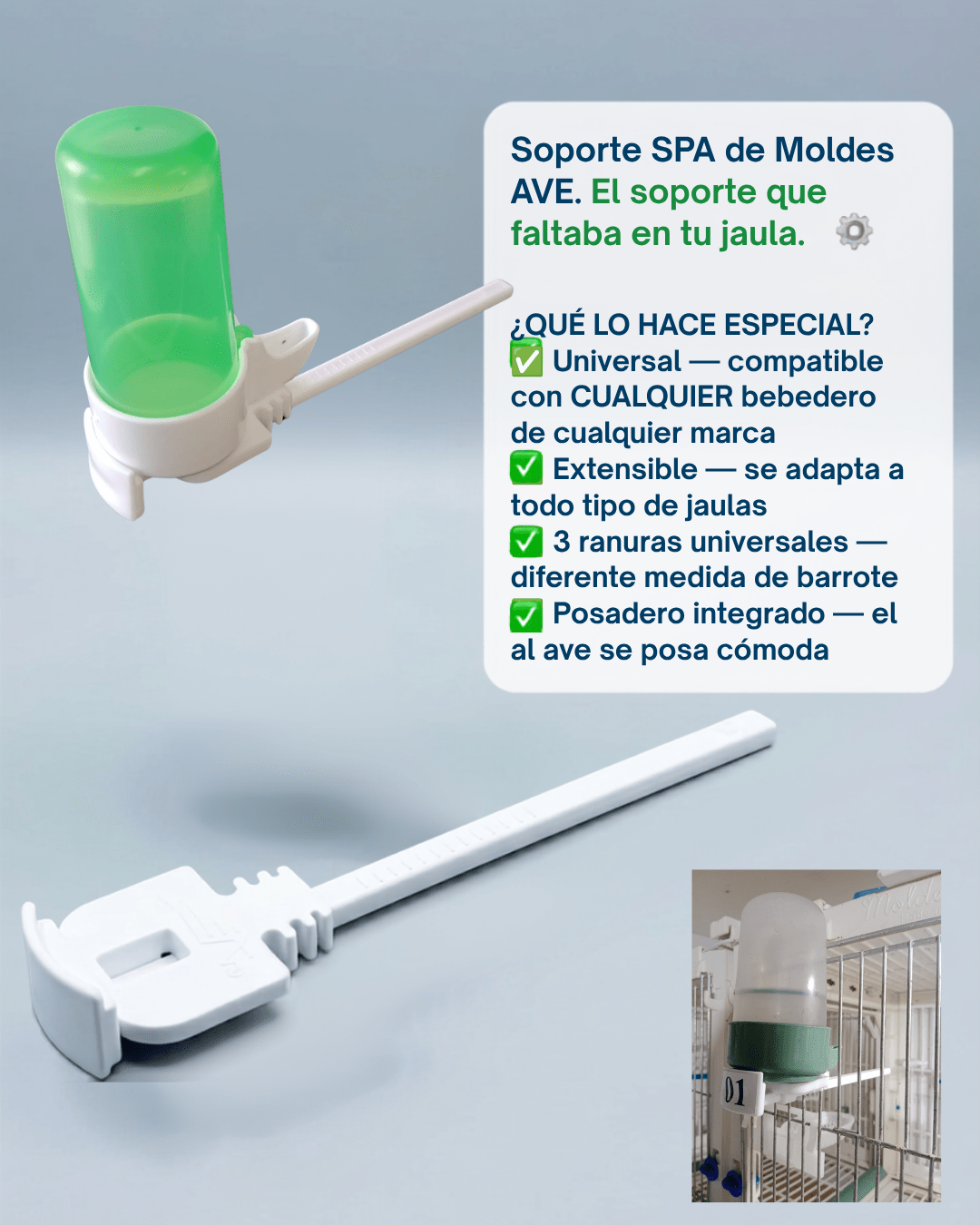 Soporte SPA Moldes Ave